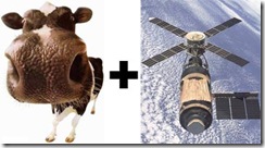 skylabcow