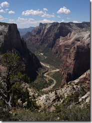 450px-Zion_National_Park_near_Observation_Point_2005_08_21